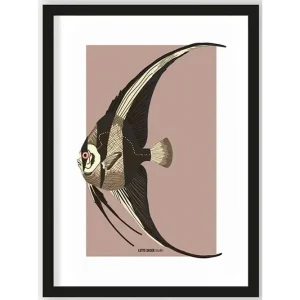 Art Print Mola Mola Voordeelprijs